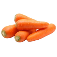 2021 New Harvest Fresh Natural Carrots Export Chinese Fresh Carrot